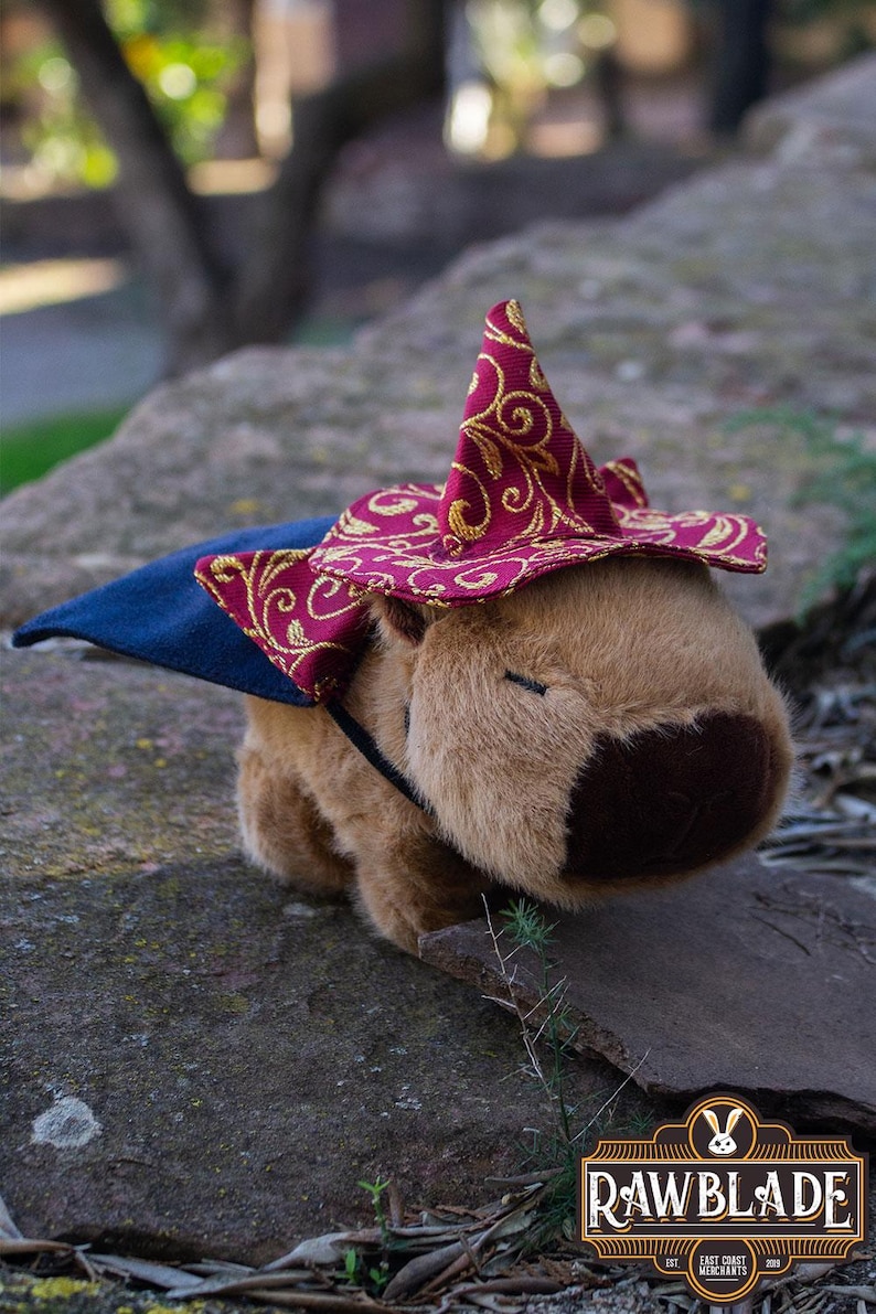 Ren Wizard Rast the Wizard Helper, Capibara - LARP, Ren Faire, Cosplay, Dandd ...