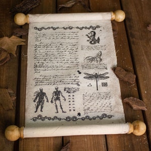 Authentic Medieval Fabric Scroll for LARP, Cosplay, Renaissance Faires, Fantasy Events & Historical Reenactments