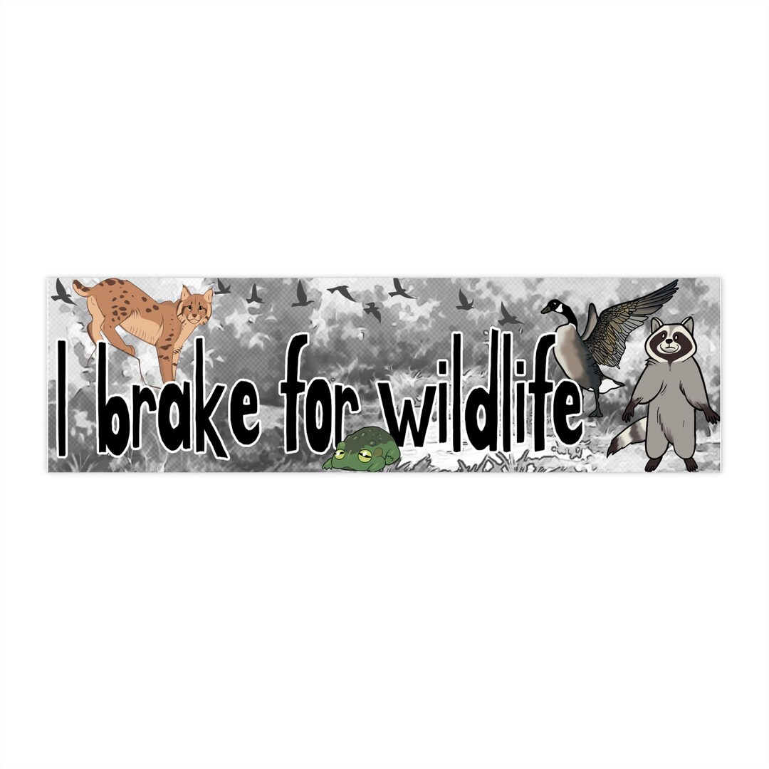 I Brake for Wildlife Bumper Sticker - Etsy
