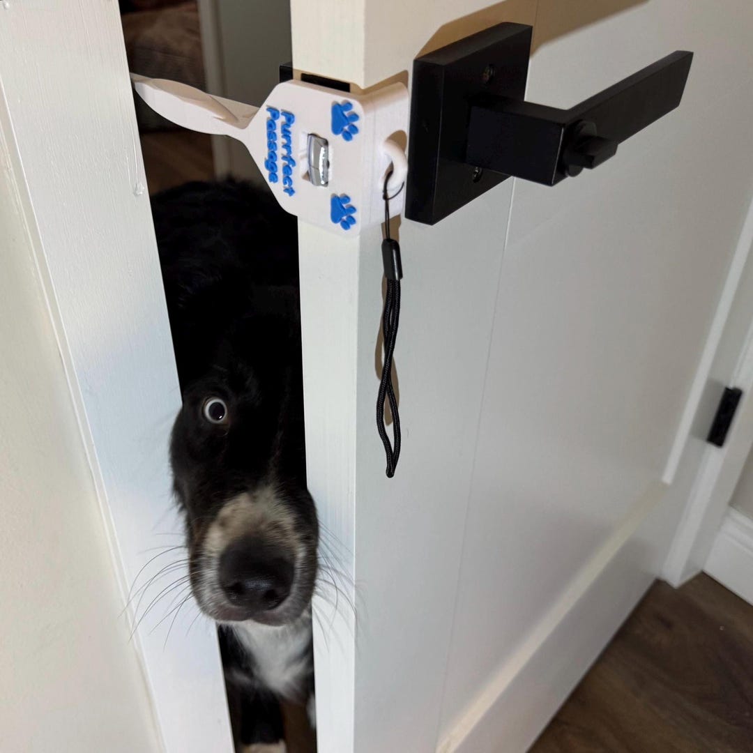 Purrfect Passage – Cat Door Holder Keep Dogs Kids Out Pet