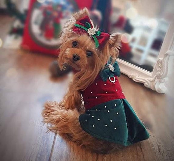 Red and Green Velvet Dog Christmas Dress | Handmade With Swarovski Crystals  & Matching Hair Bow | Luxury Holiday Pet Outfit | Gift Wrapping - Etsy