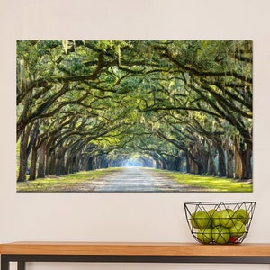 Atemberaubende Line Art, Eichen Wanddekor, Savannah Travel, Baum Leinwandkunst, Waldglasdekor, Wald Leinwandkunst, gehärtetes Glas, Leinwandkunst