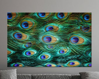 Peacock Feather Glass Wall Art: Colorful Home Decor