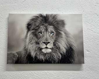 Blue Eyed Lion Wall Art, Lion Canvas Art, Animal Wall Art, Living Room Decor, Man Cave Decor, Framed Canvas, Tempered Glass Wall Art,