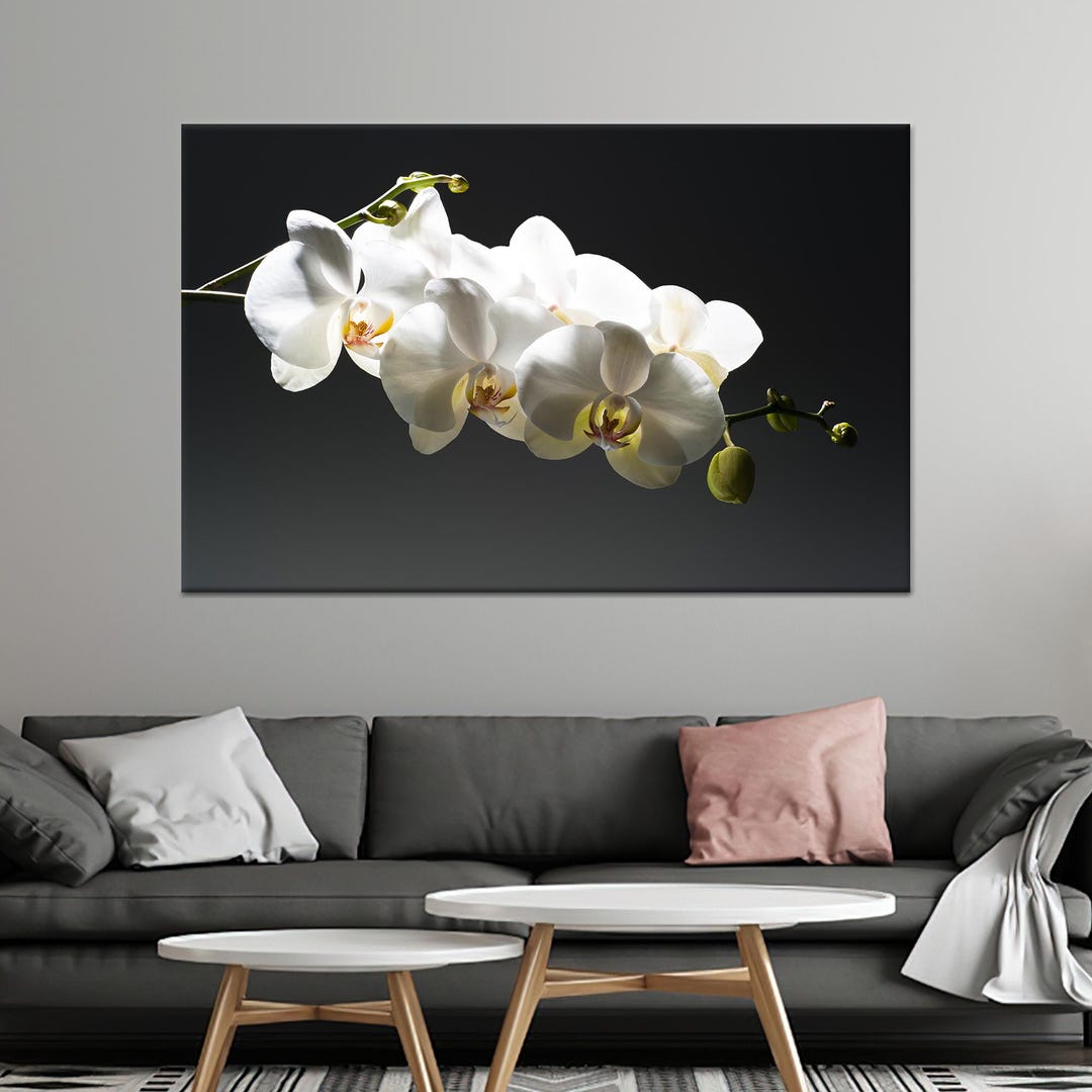 Orchid Flower Canvas: Modern Floral Wall Art Decor - Etsy