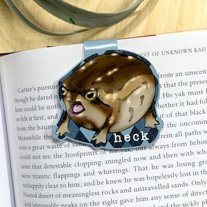 Schiffe schnell! Heck Angry Potato Desert Rain Frosch Original Art magnetisches Lesezeichen, illustriertes Buch-Liebhaber-Geschenk, handgemachtes Bücherwurm-Accessoire