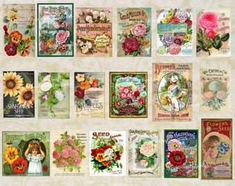 Puede incluir: Un collage de paquetes de semillas vintage con ilustraciones coloridas de flores. Los paquetes anuncian diversas semillas de flores, incluyendo girasoles, amapolas y pensamientos. El texto en los paquetes incluye los nombres de las flores, las empresas de semillas y el año de publicación.