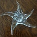 Vintage Clear Glass Starfish Paperweight/Decoration Glass Collectible Beach Ocean Theme Starfish Collectible Mint Condition