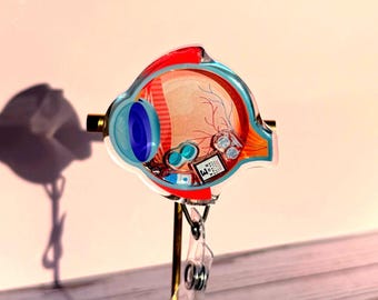 Anatomical Eye Shaker Badge Reel: Ophthalmology, Optometry ID Clip