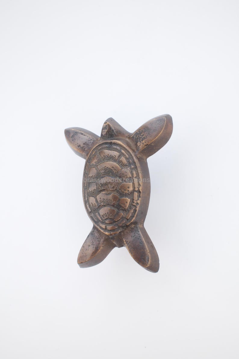 Pu&ograve; includere: Statuetta di tartaruga color bronzo con pinne estese. Il guscio della tartaruga presenta un motivo strutturato e dettagliato. La statuetta &egrave; probabilmente in metallo e si trova su uno sfondo bianco.