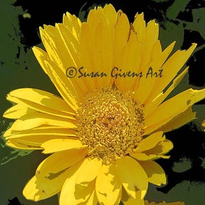 Abstract Gerbera Art Summer Gerbera Art Modern Gerbera Photo, Yellow Gerbera Photo Digital Gerbera Art Floral Art for Her