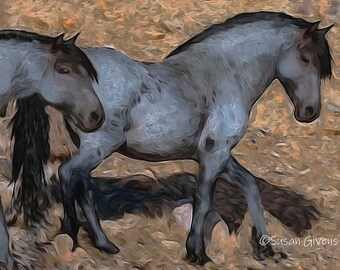 Blue Roan Horses Print Appaloosa Art Wild Blue Mustang Art Plains Indian Horses Two Blue Roan Horses Roan Horse Art