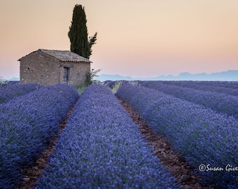 Lavender Field Photo, Provence France Landscape Art Print