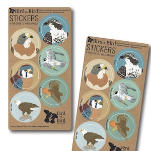 Raptor Sticker Sheets | 6 Different Birds | Round Waterproof Stickers | hawk bird of prey wildlife birder outdoors audubon nature realistic