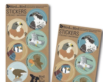 Raptor Sticker Sheets | 6 Different Birds | Round Waterproof Stickers | hawk bird of prey wildlife birder outdoors audubon nature realistic