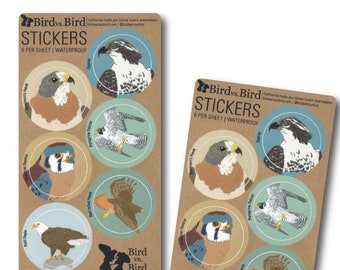 Raptor Sticker Sheets | 6 Different Birds | Round Waterproof Stickers | hawk bird of prey wildlife birder outdoors audubon nature decal