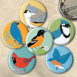 Eastern US Backyard Bird Pins| Pack of 6 | nature cute audubon birder wildlife stocking stuffer button badge birdwatcher birding