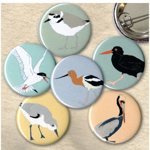 Shorebird Pins | Pack of 6 | nature ocean birder beach shore wildlife stocking stuffer button badge birdwatcher audubon