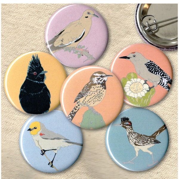 Desert Bird Pins | Pack of 6 | nature southwest sonora wildlife stocking stuffer button badge birdwatcher