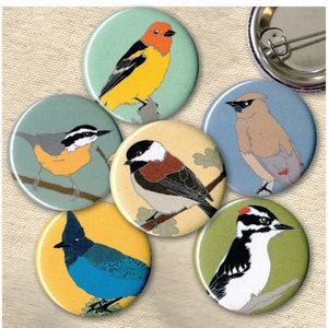 Forest Bird Pins | Pack of 6 | wild bird birder gift nature lover songbird native species woodland audubon birdwatcher conservation cute