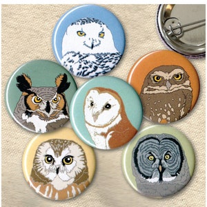 Owl Pins | Pack of 6 | nature raptor birder bird of prey wildlife stocking stuffer button badge birdwatcher