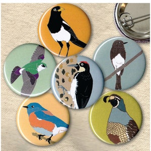 six round pinback buttons with colorful background and illustrations of california native birds