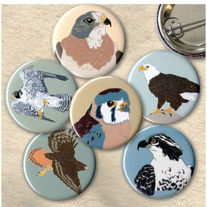 six round pinback buttons with illustrations of raptor species