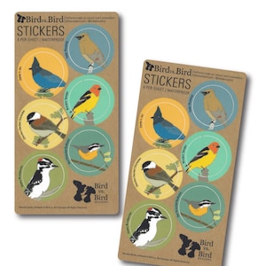 Woodsy Bird Sticker Sheets | 6 Different Birds | round waterproof stickers songbird nature wildlife birder outdoors audubon colorful decal