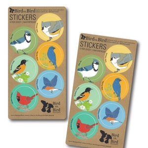 Eastern Backyard Bird Sticker Sheets | 6 Different Birds | Round Waterproof Stickers | songbird birder realistic audubon nature decal