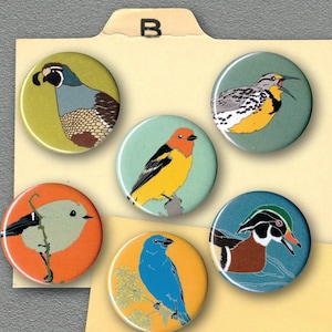 Choose 6 Bird Magnets-100+ Designs! | US native wild songbirds raptors waterbirds owls | realistic biologist birder accurate cute