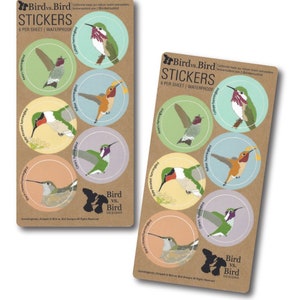 Hummingbird Sticker Sheets | 6 Different Birds | Round Waterproof Stickers | backyard bird wildlife birder outdoors audubon nature decal