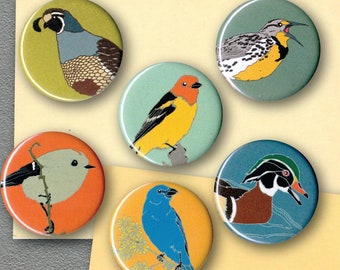 Mix and Match 6 Bird Magnets: 100+ Designs! | US native wild songbirds raptors waterbirds owls | gift set stocking stuffer birder birb