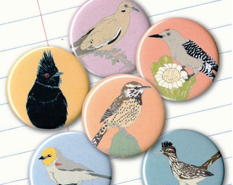 Desert Birds Magnets | Set of 6 | nature outdoors birder southwest sonora wildlife stocking stuffer fridge magnet birdwatcher