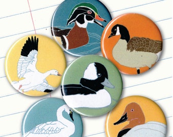 Ducks + Geese Magnets | Boxed Set of 6 | nature outdoors birder waterfowl wildlife stocking stuffer fridge magnet birdwatcher