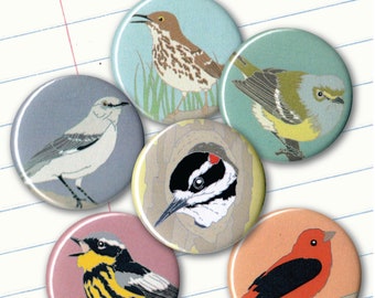 Songbird Magnets Southeastern US | Gift Set of 6 | birding nature cute birder native wildlife stocking stuffer fridge magnet birdwatcher