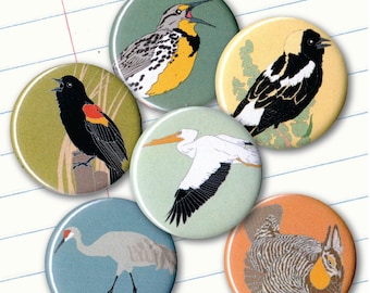 Great Plains Bird Magnets | Gift Set of 6 | birding nature cute birder songbird wildlife stocking stuffer native birds birdwatcher audubon