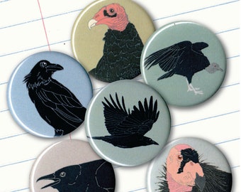 Crow and Vulture Magnets | Gift Set of 6 | nature outdoors corvid raptor birder wildlife stocking stuffer goth birdwatcher raven