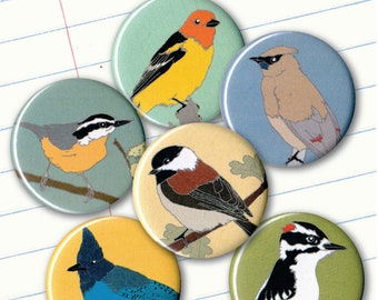 Forest Bird Magnets | Gift Set of 6 | wild birds woodland sierra birder gift wildlife art nature lover cute songbird california audubon