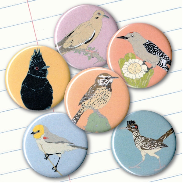 Desert Birds Magnets | Set of 6 | nature outdoors birder southwest sonora wildlife stocking stuffer fridge magnet birdwatcher