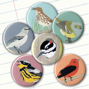 six round magnets with colorful backgrounds and illustrations of birds are shown against a piece of binder paper