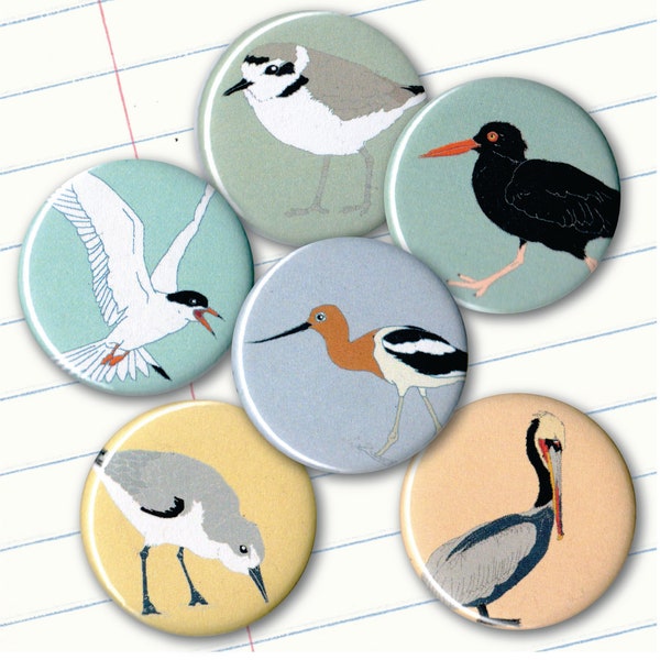 Shorebird Magnets | Set of 6 | nature outdoors birder beach ocean wildlife stocking stuffer fridge magnet birdwatcher California pelican