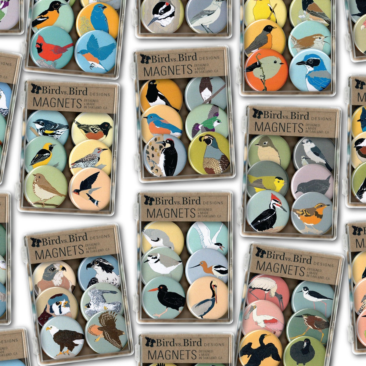 Bird Magnet Gift Set | Choose From 17 Themes | Nature Audubon Birder Songbird Stocking Stuffer Realistic Accurate Cute Native Birds - Etsy