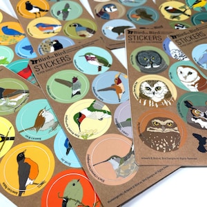 Bird Sticker Assortment 48 Different Designs waterproof round decal birder favor audubon cute nature wildlife colorful bulk pack image 1