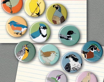 Mix and Match 12 Bird Magnets: 100+ Designs! | US native wild songbirds raptors waterbirds owls | birder biologist conservation audubon cute