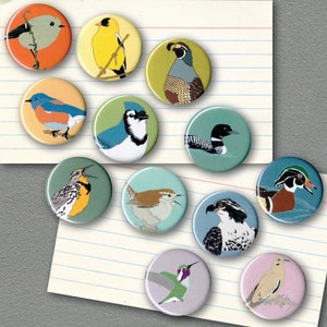 Mix and Match 12 Bird Magnets: 100+ Designs! | US native wild songbirds raptors waterbirds owls | birder biologist conservation audubon cute