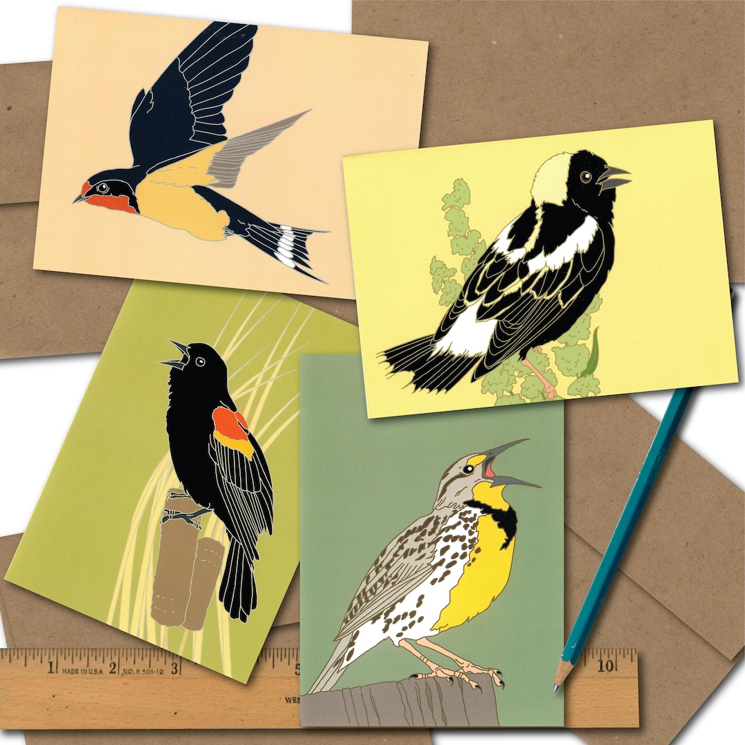 8 Wild Bird Note Cards | 2 Each of 4 Designs | Recycled Paper | 4.25