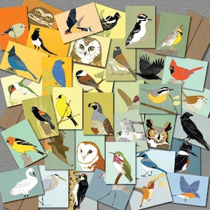 8 Bird Note Cards Mix + Match | Choose from 36 Designs | Recycled Paper | realistic accurate wildlife birder nature cute audubon birder