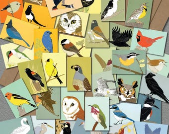 8 Bird Note Cards Mix + Match | Choose from 36 Designs | Recycled Paper | realistic accurate wildlife birder nature cute audubon birder