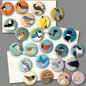 Mix and Match 24 Bird Magnets: 100 Designs US native wild songbirds, raptors, waterbirds, owls party favor bulk pack cute nature image 2