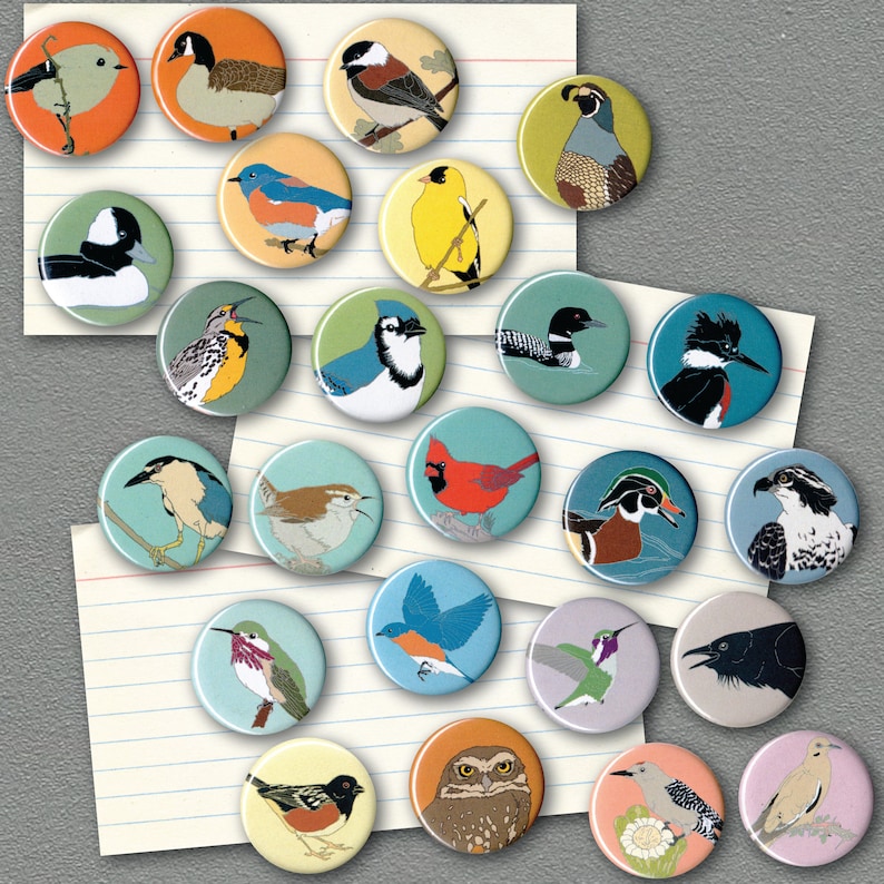 Mix and Match 24 Bird Magnets: 100 Designs US native wild songbirds, raptors, waterbirds, owls party favor bulk pack cute nature image 2